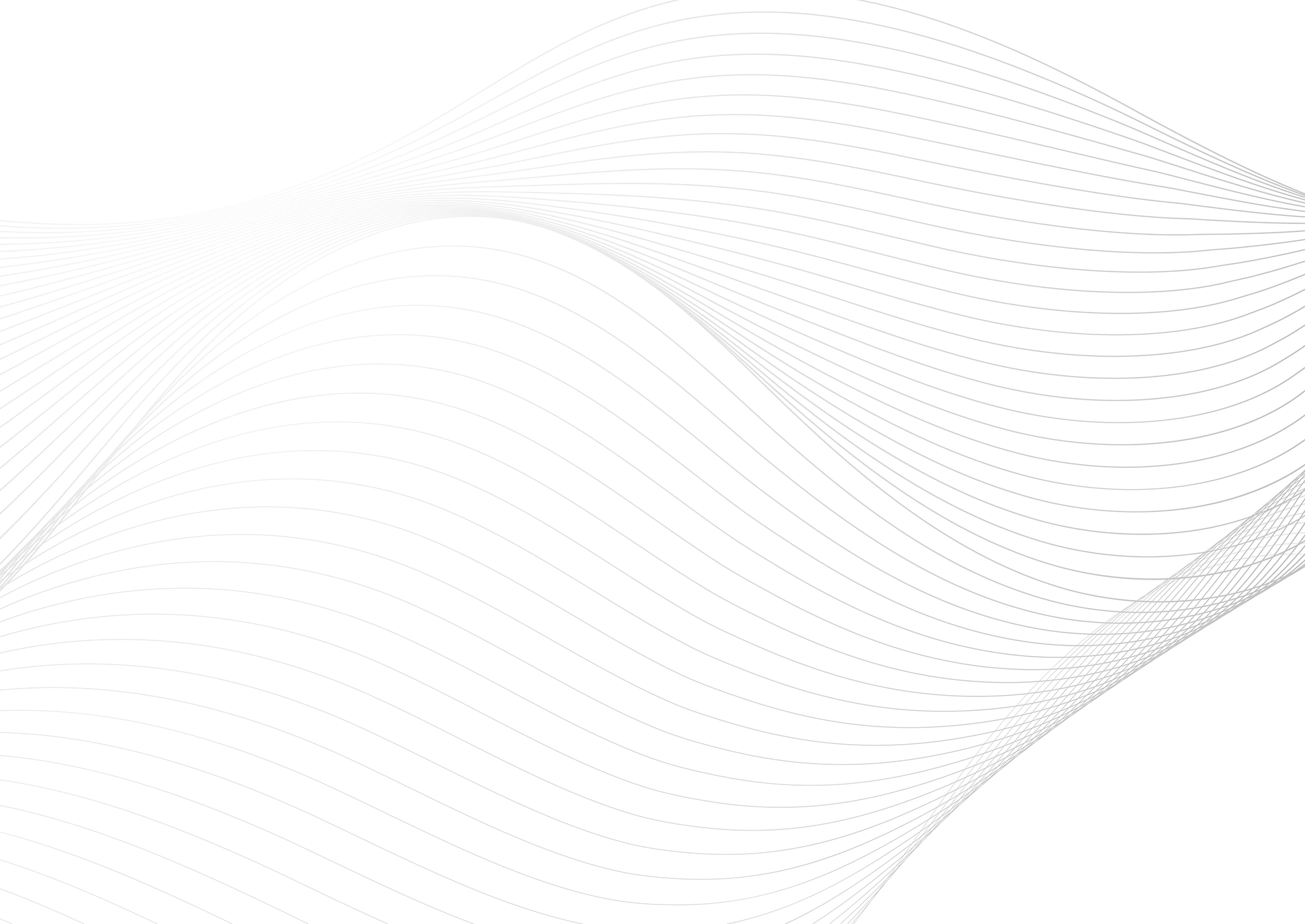 Web Site Tasarımcısı, Reyhanlı